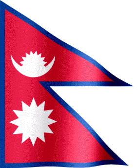 Paaila logo